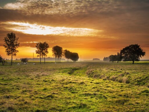 Quanto custa comprar uma fazenda em 2026?